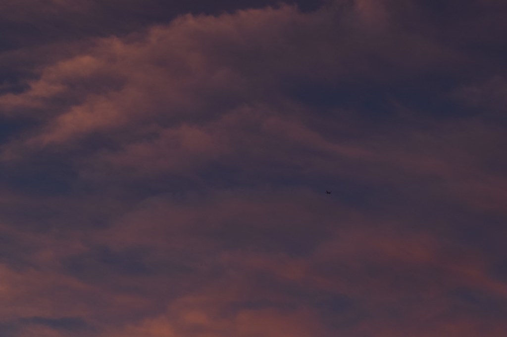 9 tracks for your midsummer&nbsp;sunsets